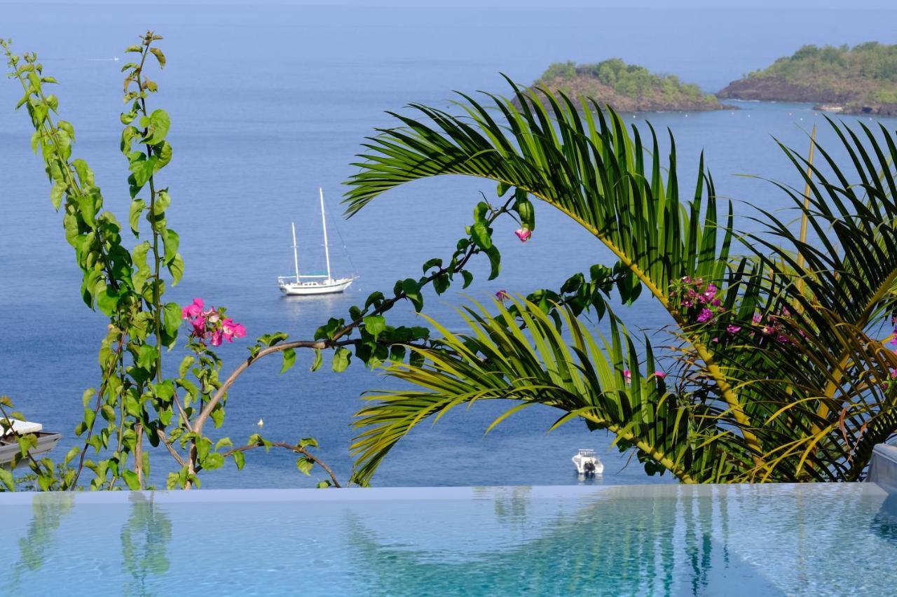 Sunset Palm - Villa Creole Avec Piscine Face Au Coucher De Soleil Et A La Reserve Cousteau Bouillante Bagian luar foto