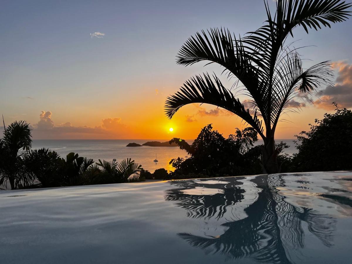 Sunset Palm - Villa Creole Avec Piscine Face Au Coucher De Soleil Et A La Reserve Cousteau Bouillante Bagian luar foto
